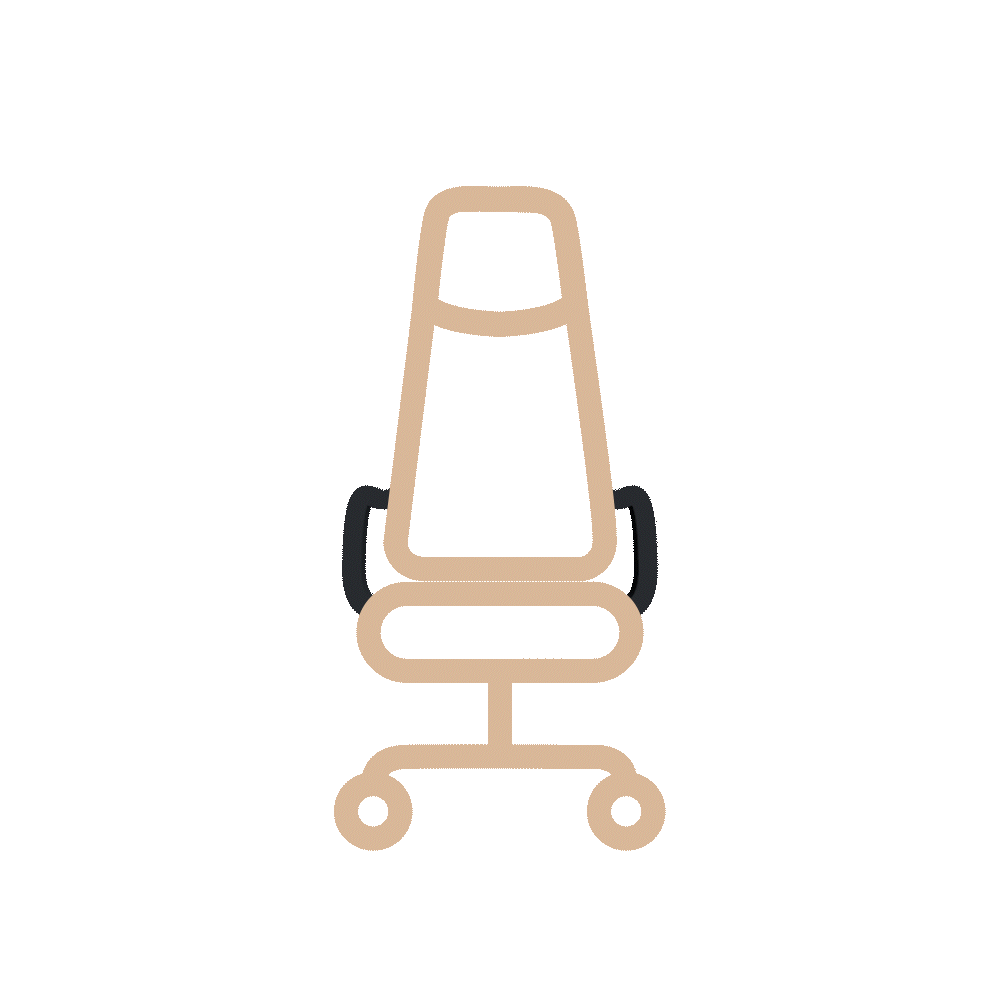 <strong>Polished Arm & Frame</strong>