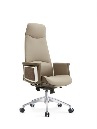 Modern Chairs