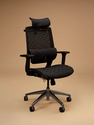 Ergonomical Chairs